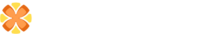 Spin Network